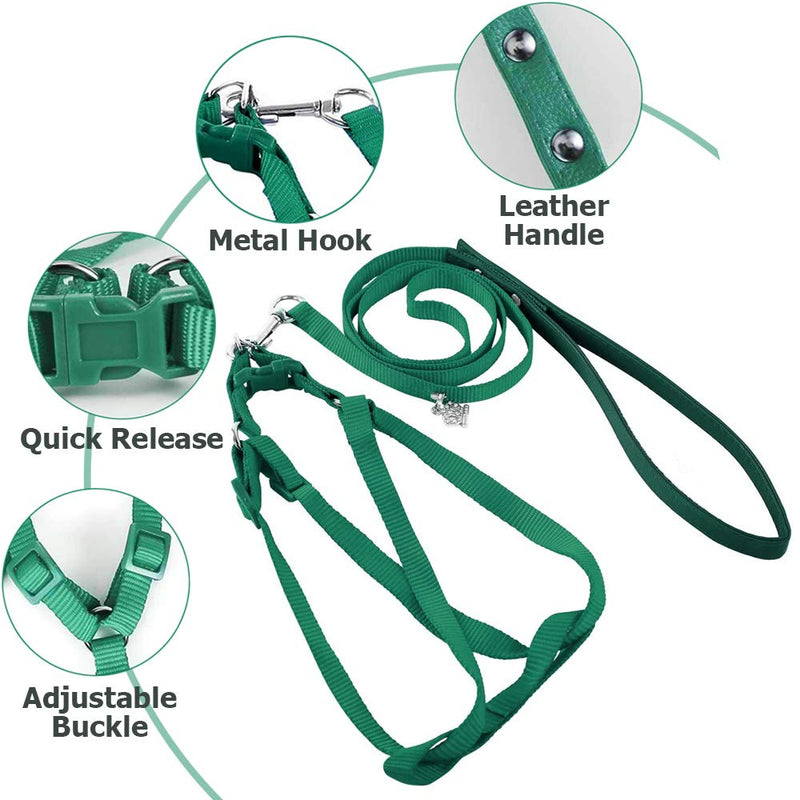 ASOCEA Adjustable Bird Harness and Leash for Yellow Naped Amazons Galah Cockatoos Small to Medium Breed Parrots Fits Birds Chest Between26-40cm /10.24-15.75inch - S - BeesActive Australia