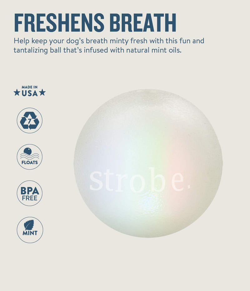 Planet Dog Orbee-Tuff Interactive Ball Dog Toys Strobe (LED Light-up Ball) One-Size Glow in The Dark - BeesActive Australia