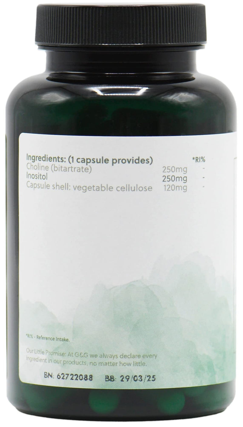 Choline (Bitartrate) & Inositol Capsules | 250mg Choline & 250mg Inositol per Capsule | 120 Vegan Capsules | G&G Vitamins - BeesActive Australia