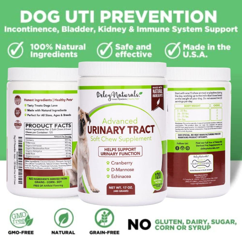 Dog UTI Prevention - Incontinence, Bladder, Kidney & Immune System Support - Cranberry Pills for Dogs - D-Mannose & Echinacea - Made in USA, Chicken, All Natural - 120 Grain Free Soft Chews - BeesActive Australia