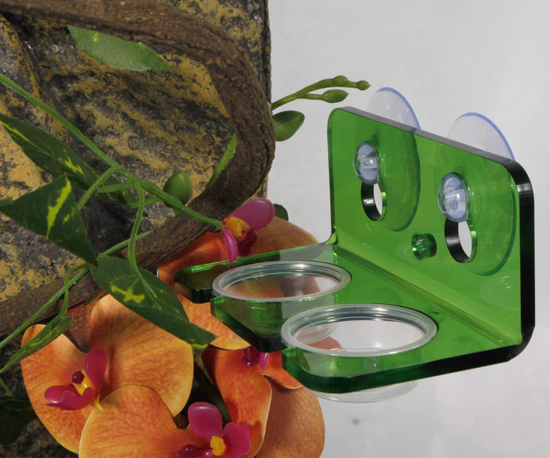 WOLEDOE Crested Gecko Feeding Ledge with 20 Pcs 0.5oz Bowls, Reptile Food Cups and Water Dish fit Chameleon Lguana Lizards - BeesActive Australia