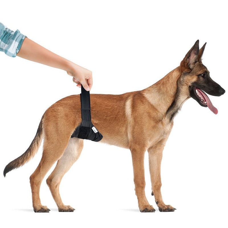 Vet's Best Washable Male Dog Diapers | Absorbent Male Wraps with Leak Protection | Excitable Urination, Incontinence, or Male Marking | 1 Reusable Dog Diaper Per Pack LG/XL - BeesActive Australia