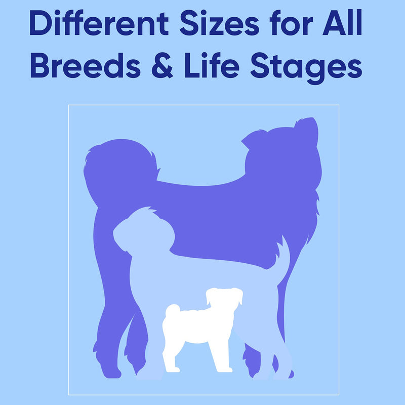 Pawtitas Pet Reflective Step in Dog Harness or Reflective Vest Harness Comfort Control Training Walking of Your Puppy Harness/Dog Harness Medium (Pack of 1) Teal - BeesActive Australia