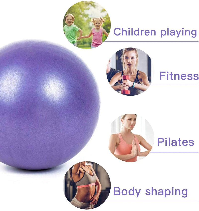 XIECCX Mini Yoga Balls Exercise Pilates Ball Therapy Ball Balance Ball Bender Ball Barre Equipment 1PC for Home Stability Squishy Training PhysicalCore Training with Pump A-purple 6 Inch - BeesActive Australia
