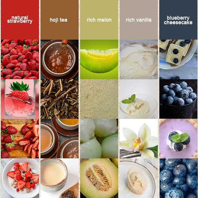 Pea Protein 1kg (Rich Chocolate) Pea-derived Flavors to choose from Plant-based protein - BeesActive Australia