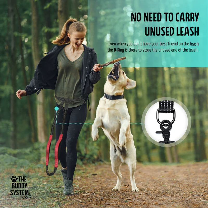 The Buddy System Reflective Leash System, Dual Hand-held and Hands Free Dog Leash for Walking, Running, Jogging and Training Service Dogs, Adjustable Belt Waist, One Size Running Leash with Pouch - BeesActive Australia