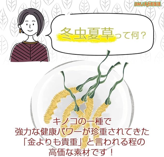 DMJ Egao Seikatsu Cordyceps sinensis dense soft 31 days supply 62 tablets Royal jelly Amino acid Cordyceps sinensis supplement Made in Japan - BeesActive Australia