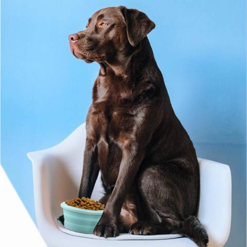 LUTER 2 Pieces Collapsible Dog Bowls Silicone Food Water Travel Bowl with Lids Portable Expandable Pet Feeding Watering Cup Dish for Walking Kennels Camping 350ml (12x12x3cm) Pink & Blue - BeesActive Australia