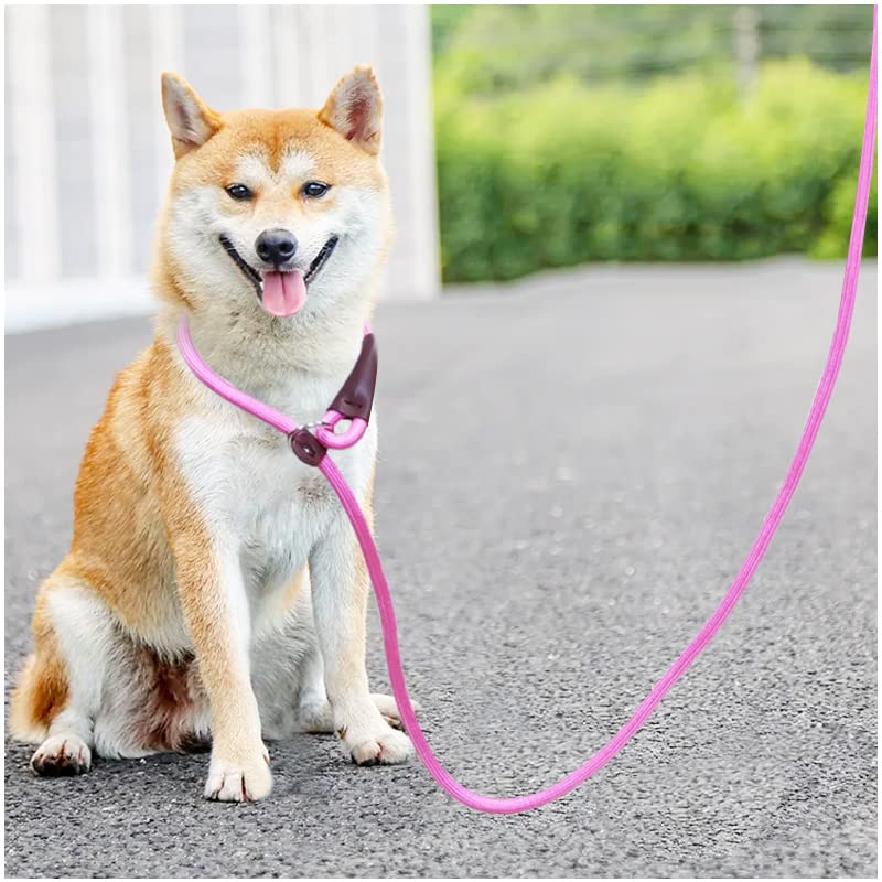 SEPXUFORE Rope Slip Lead Dog Leash, Heavy Duty 1/2” by 5ft Solid Colors 7+ Climbing Nylon Round Dog Training Leash, No Pull Dog Lead Great for Medium and Large 1/2" x 5ft black - BeesActive Australia