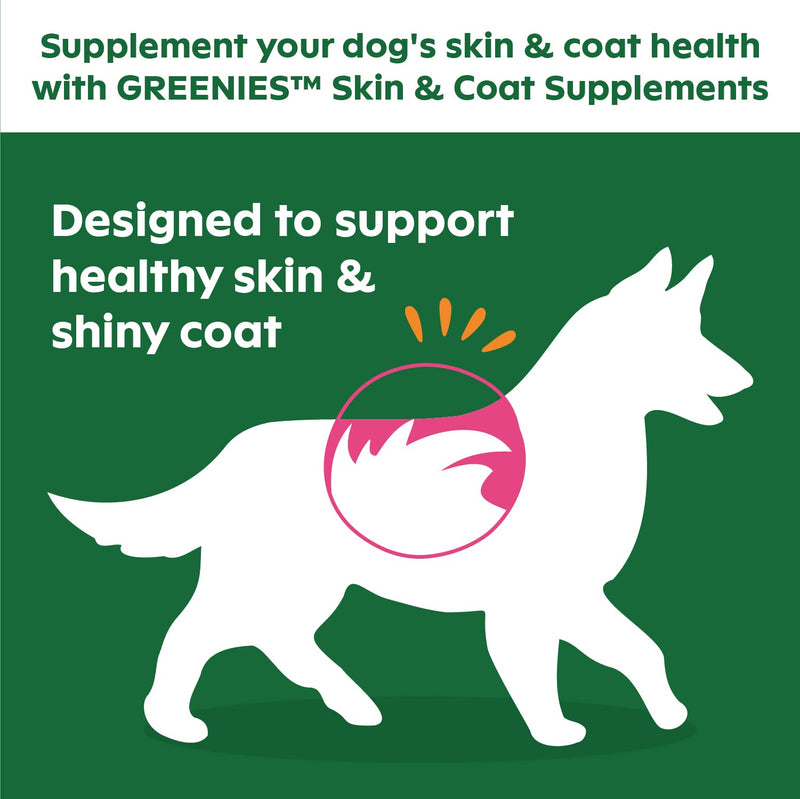 Greenies Dog Treats 13.200 Other - BeesActive Australia