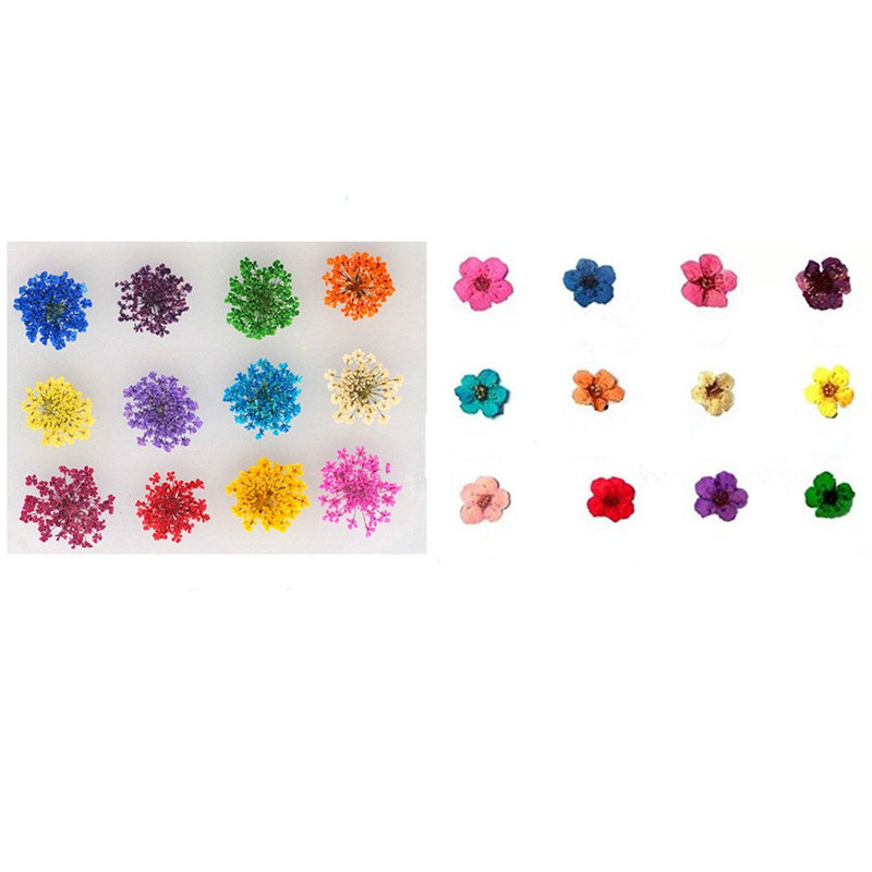 XICHEN 36 Starry Plus 36 Five Flower Flower Three-Dimensional Applique 3D Nail Stickers Nail Supplies Dried Flowers 2 12 Color (Starry and Five Flower) - BeesActive Australia