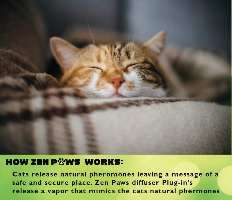 Zenpaws Upgraded No Scent - Diffuser Cat Relaxant Refill - Compatibility : Refills fit and are Compatible with All Major Brand diffusers. Feliway, Comfort Zone, ThunderEase, Relaxivet - BeesActive Australia