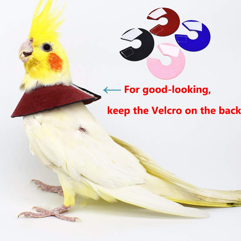 4Pack Pet Parrot Anti-bite Elizabethan Collars, Anti-Grab Feather Plucking Wound Healing Safety Collar, Protective Recovery Cones for Budgerigar Lovebird Agapornis Fischer Cockatiel Cockatoo M - Suitable for Lovebird - BeesActive Australia