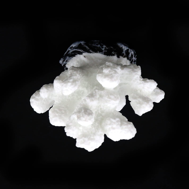 Semetall Artificial Sea Coral Plants Decorations for Fish Tank and Aquarium White - BeesActive Australia