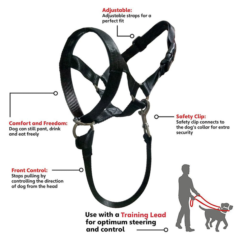 Dog Head Collar, No Pull Training Tool for Dogs on Walks, Includes Free Training Guide, 5 XL Black - BeesActive Australia