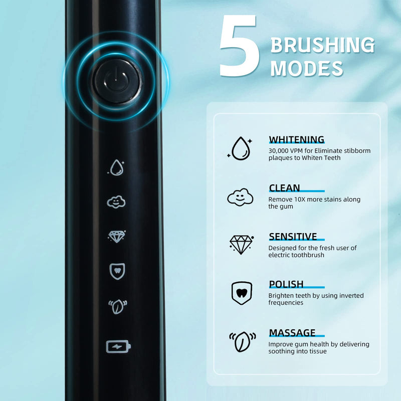 Sonic Electric Toothbrush, Rechargeable Power Toothbrush with 6 Duponts Brush Heads, with 2 Minute Smart Timer, 5 Modes with Teeth Whitening, Gift for Family Black - BeesActive Australia