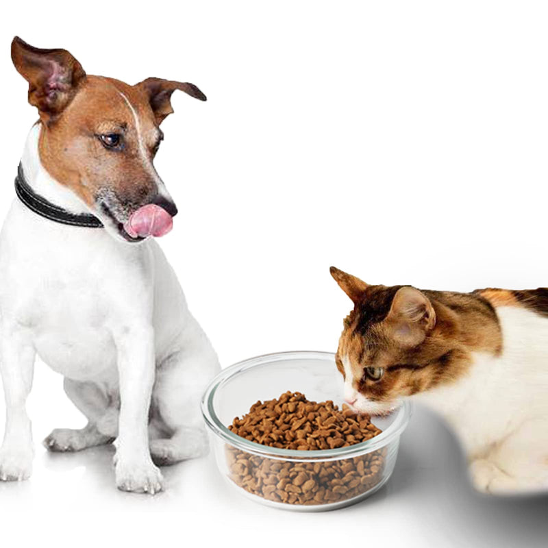 GDCZ Glass Raised Cat or Small Dog Bowls 18 Ounces Transparent - BeesActive Australia