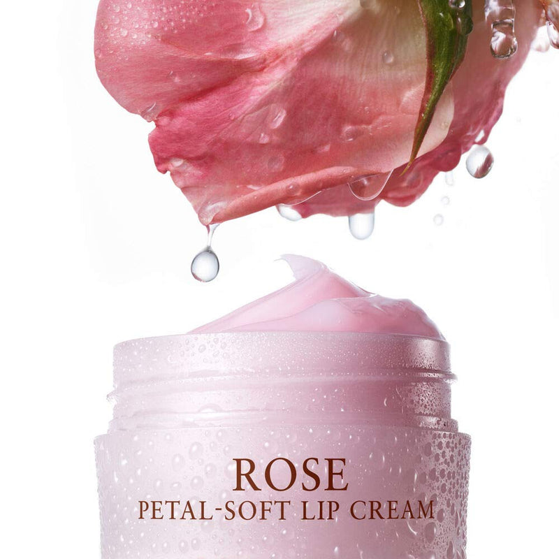 FRESH Rose Petal-Soft Deep Hydration Lip Cream - BeesActive Australia