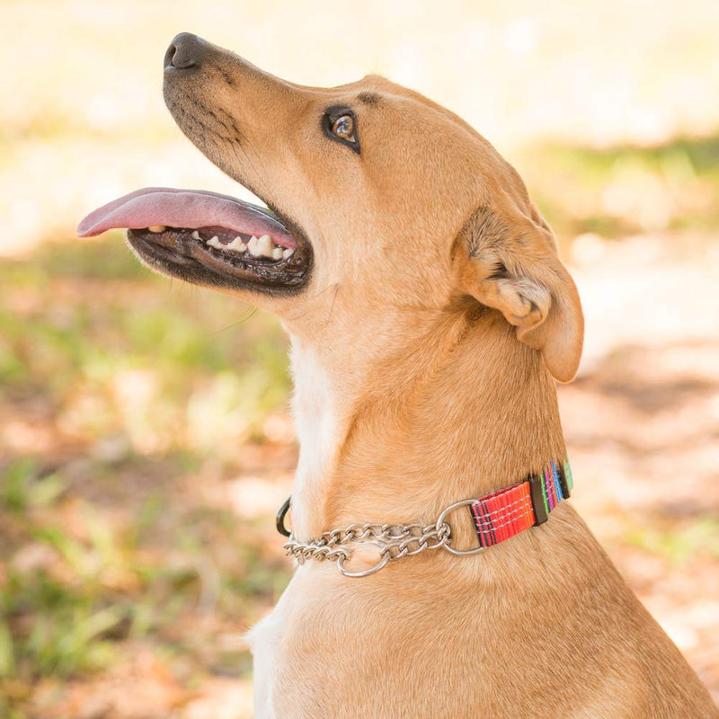 Leashboss Chain Martingale Patterned Reflective Dog Collar, Pattern Collection, Stainless Steel Chain, No Pull Training Collar Medium-Large (16-19" Neck x 1" Wide) Orange - Blanket - BeesActive Australia