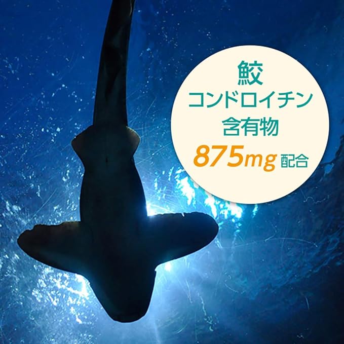Fine shark cartilage extract grains 52 days supply (10 grains/520 grains per day) Contains chondroitin - BeesActive Australia