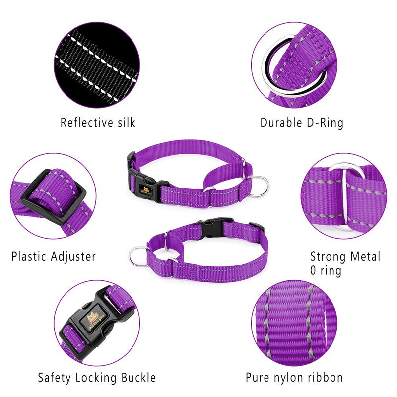 PLUTUS PET Reflective Martingale Collar with Quick Snap Buckle,No Pull Dog Choker Collar for Small Medium Large Dogs M:16"-20" Purple - BeesActive Australia