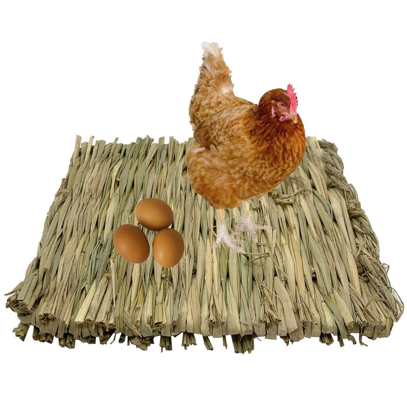 MUYG Chicken Nesting Box Pads,Chickens Coop Grass Pads Handwoven Grass Turf Hen Nest Liners Small Animal Natural Straw Mat Rabbit Bedding Pads(6 PCS) - BeesActive Australia