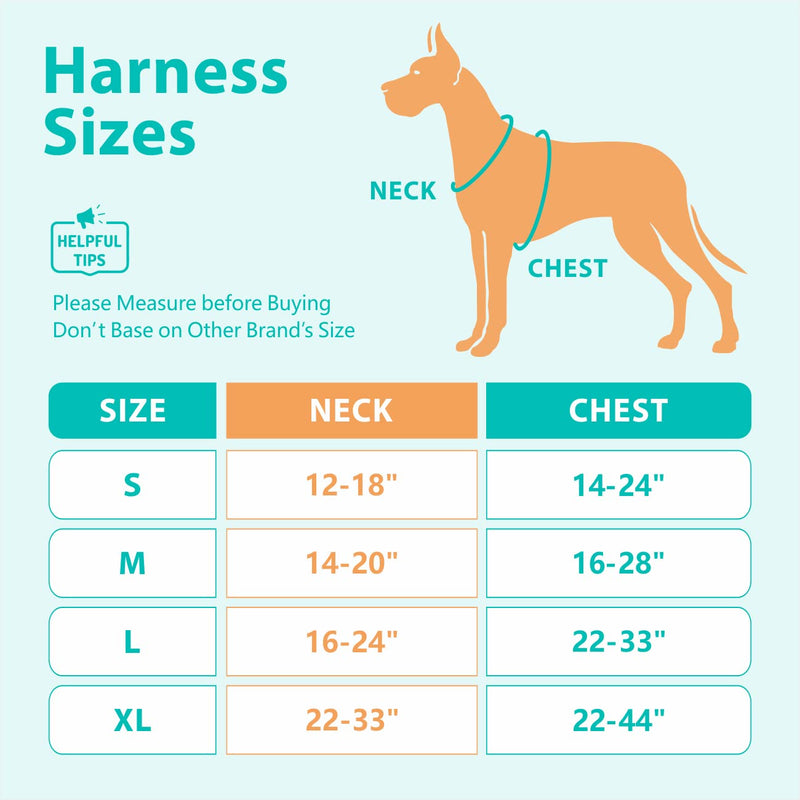 PoyPet No Pull Dog Harness, No Choke Front Clip Reflective Dog Vest with Padded Vertical Handle, 3 Leash Attachments for Small Medium Large Dogs Tumalo Teal - BeesActive Australia