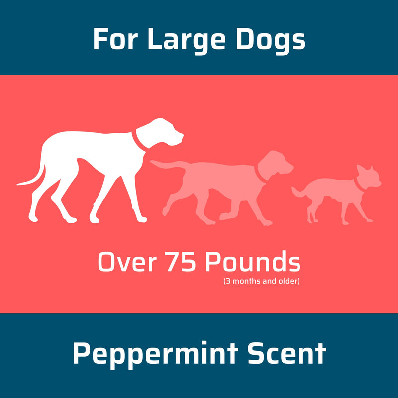 Wondercide - Flea and Tick Dog Spot On - Flea, Tick, and Mosquito Repellent, Prevention for Dogs with Natural Essential Oils - Pet and Family Safe Up to 3 Months Protection - Large 3 Tubes of 0.17 oz - BeesActive Australia