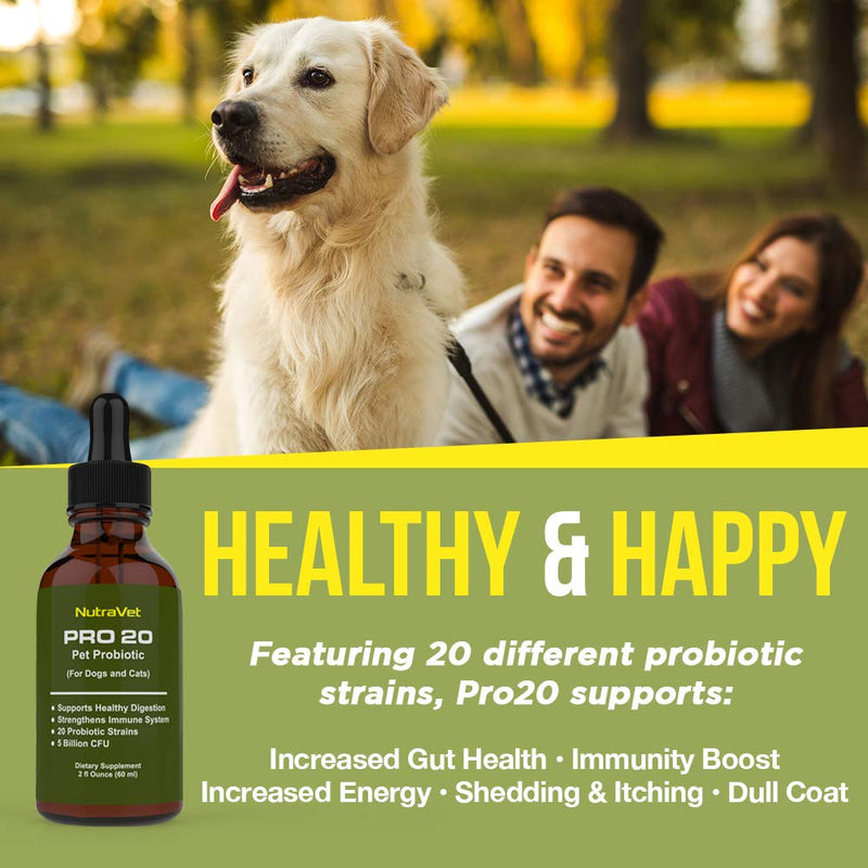 Probiotics for Dogs and Cat Probiotics -- 120 Servings (1/2ml). 100% Natural Digestive Enzymes for Gas Relief and Healthy Digestion. Prebiotics via Liquid Vitamins for Constipation & Leaky Gut - BeesActive Australia