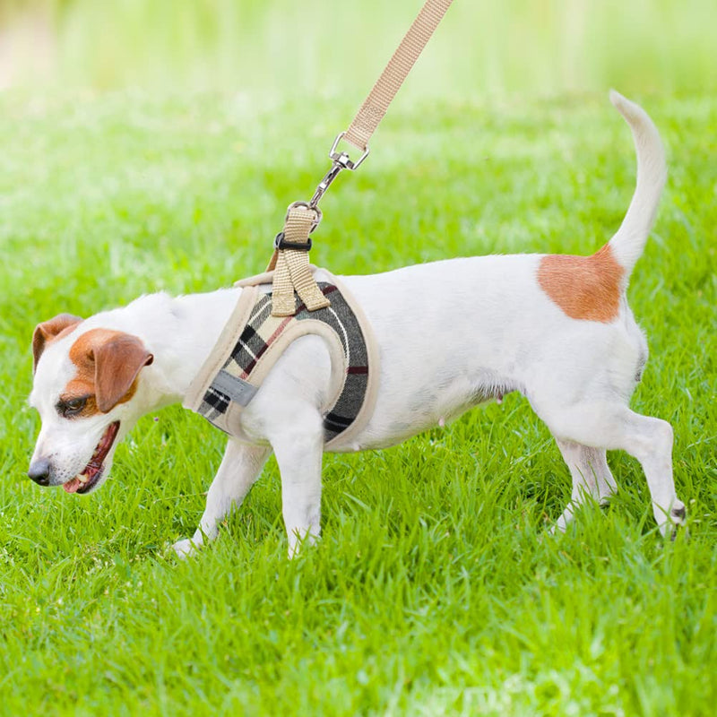PUPTECK Small Dog Harness and Leash - No Pull Soft Mesh Step-in Puppy Harness, Reflective Adjustable for Small Dogs Cats Walking Beige - BeesActive Australia