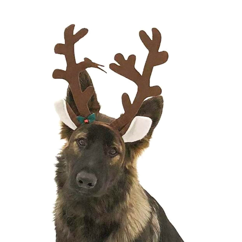 Midlee Brown Reindeer Dog Antlers Headband with Jingle Bell- Pet Christmas Costume - BeesActive Australia