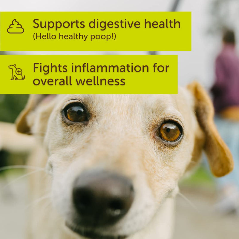 Meaningful Tree Prebiotics for Dogs - Gut Health Superpowder - Vet Approved, Supports Digestive Health & Diarrhea - Made in The USA with Only Two All-Natural Ingredients - BeesActive Australia