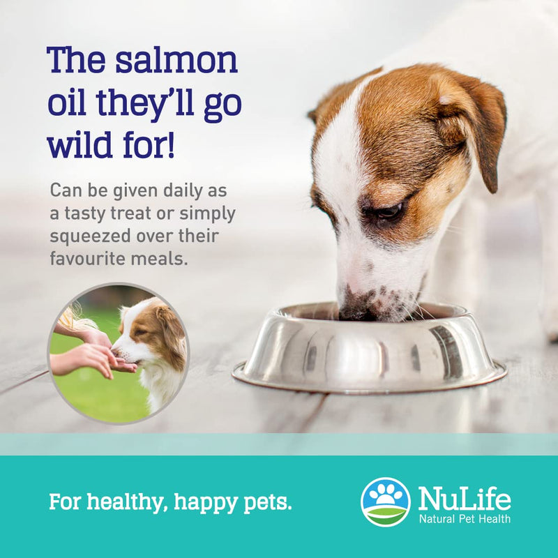 NuLife Natural Pet Health Pure Wild Alaskan Salmon Oil for Dogs, Omega 3 Fish Oil Supplement for Healthy Skin & Shiny Coat, Prevents Itchy Skin, Skin Allergies & Shedding, 120 Soft Capsules - BeesActive Australia