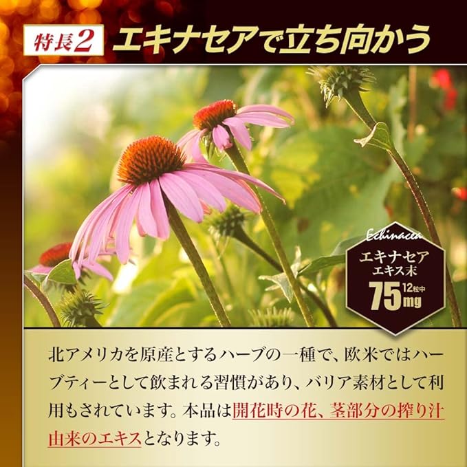 Yuki Pharmaceutical Water Soluble Agaricus DX 30 Days 360 Tablets Supplement Tablet Echinacea Beta Glucan - BeesActive Australia