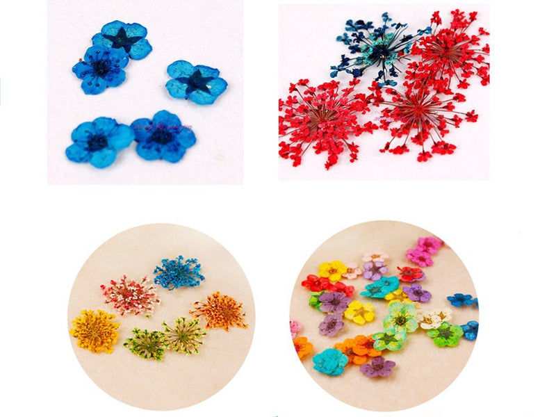 XICHEN 120 PCS/ 2Boxes Five Flower Flower Three-Dimensional Applique 3D Nail Stickers Nail Supplies Dried Flowers（Starry and Five Flower） - BeesActive Australia