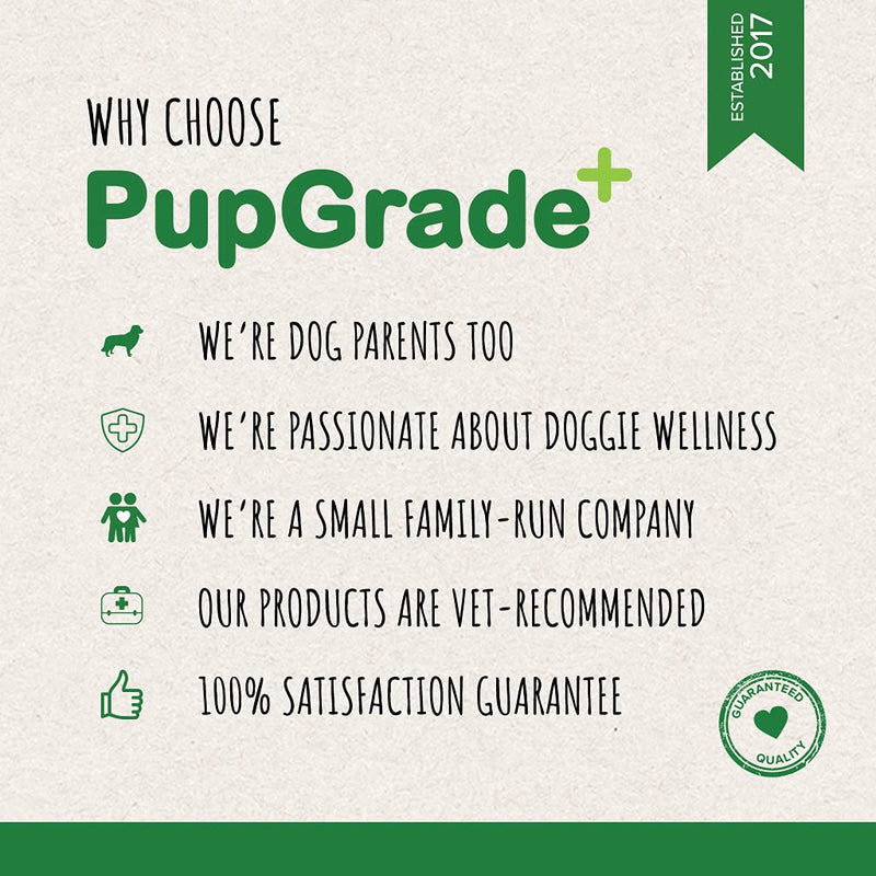 PupGrade Digestive Support Chews for Dogs - Upset Stomach, Diarrhea, Bowel, & Immune Support - Supplement with Probiotics, Prebiotics, Enzymes - Pumpkin, Blueberry, Mineral Oil - 60 Soft Chews - BeesActive Australia