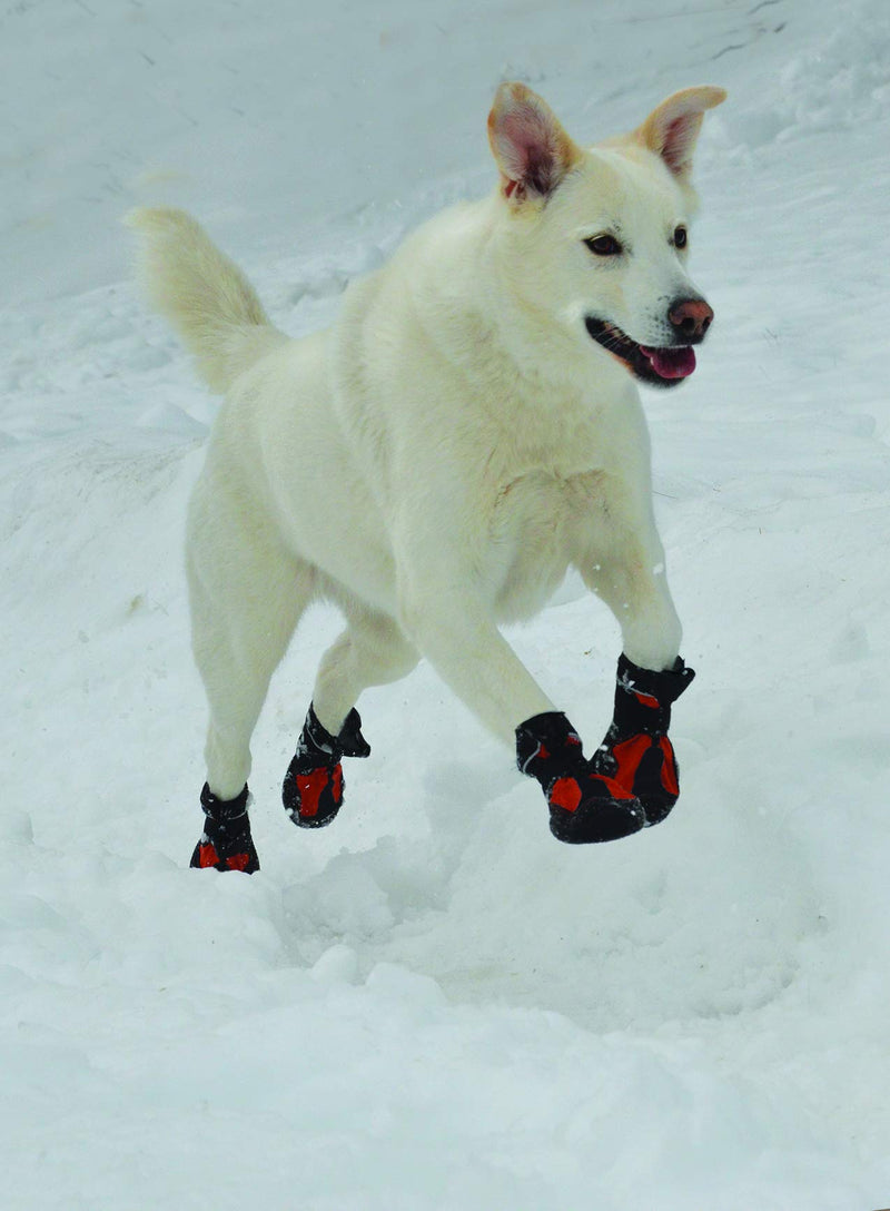 Muttluks, Snow Mushers Winter Dog Boots with Rubber Soles for Cold Weather Blue Size 4 - BeesActive Australia