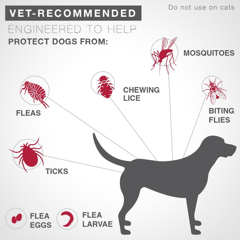 K9 Advantix II Flea and Tick Prevention for Small Dogs (4-10 Pounds) 2-Pack Small Dog Only - BeesActive Australia