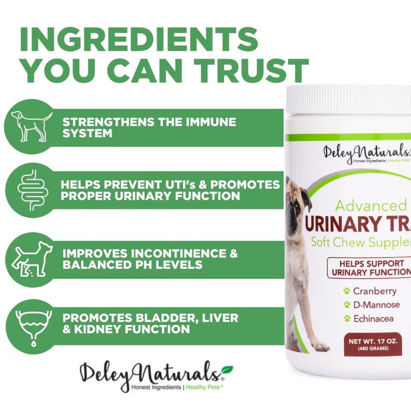 Dog UTI Prevention - Incontinence, Bladder, Kidney & Immune System Support - Cranberry Pills for Dogs - D-Mannose & Echinacea - Made in USA, Chicken, All Natural - 120 Grain Free Soft Chews - BeesActive Australia