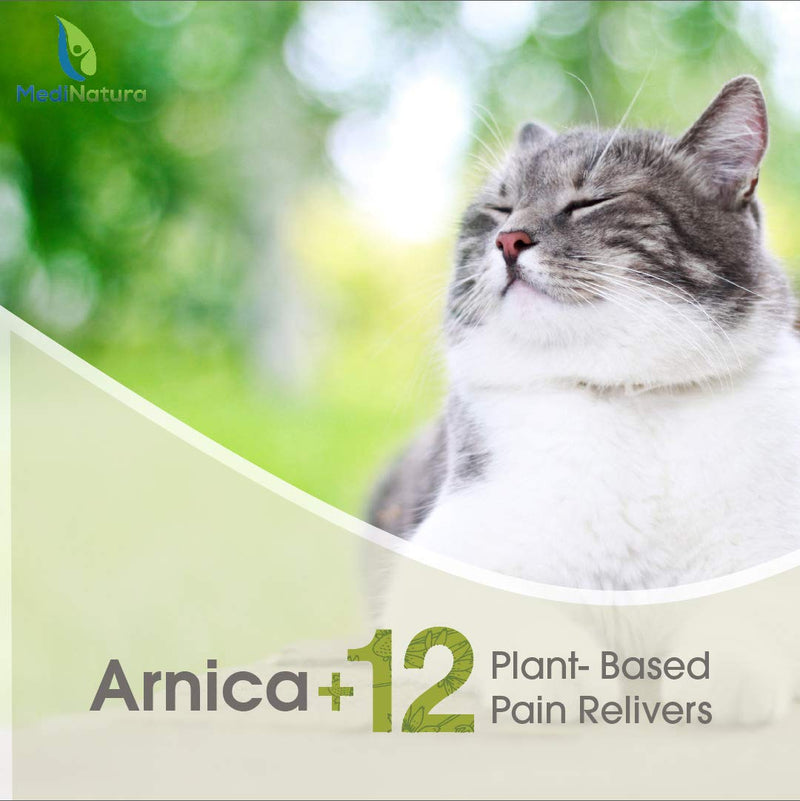 T-Relief Pet Pain Relief Arnica +12 Powerful Natural Medicines Help Reduce Muscle, Joint & Hip Pain, Soreness, Stiffness, Injuries in Dogs & Cats - Vet Approved, Fast-Acting Soother - 90 Tablets - BeesActive Australia