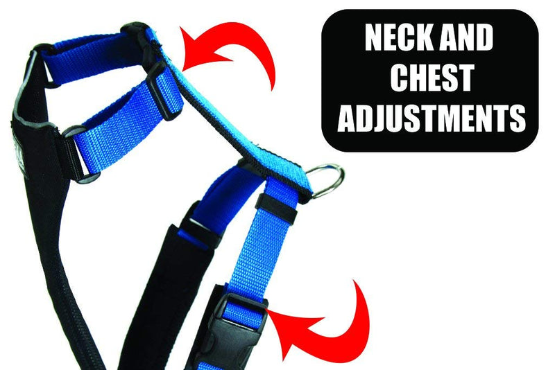 Neewa Dog Running Harness, Dog Hiking Harness Black Large - BeesActive Australia