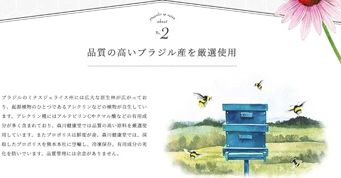 1.2x Propolis Spray, Extra 0.7 fl oz (20 ml) - BeesActive Australia