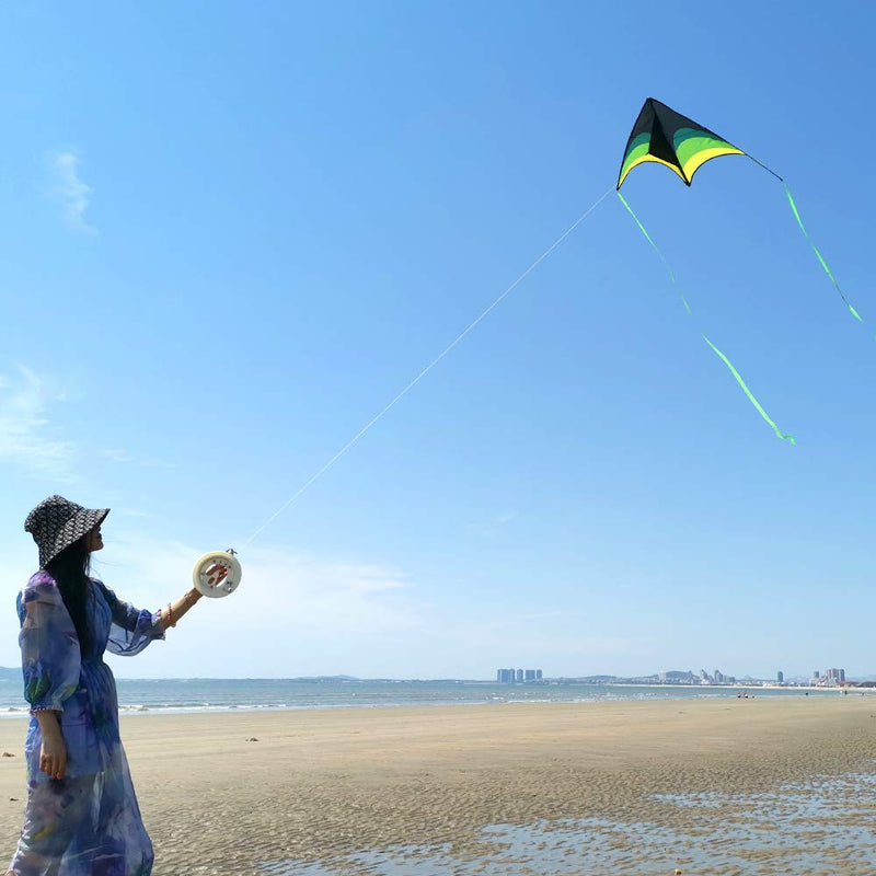 Mint's Colorful Life Delta Kite for Kids & Adults, Extremely Easy to Fly Kite, Best Kite for Beginner Black Green - BeesActive Australia