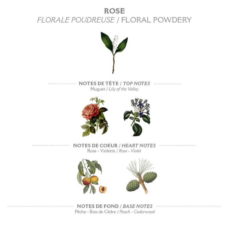 Panier des Sens Rose Hand cream for dry cracked hands with Olive oil & Shea butter, hand lotion - Made in France 97% natural - 1Floz/30ml Rejuvenating Rose 1 Fl Oz (Pack of 1) - BeesActive Australia