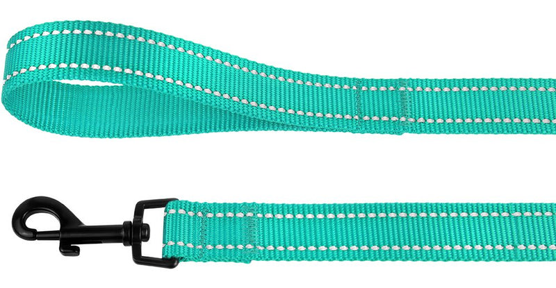 CollarDirect Nylon Dog Leash 5ft for Daily Outdoor Walking Running Training Heavy Duty Reflective Pet Leashes for Large, Medium & Small Dogs Mint Green - BeesActive Australia
