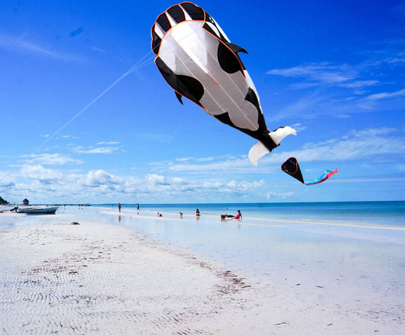 [AUSTRALIA] - Hengda KITE-3D Kite Huge Frameless Soft Parafoil Giant Black Dolphin Breeze Kite 