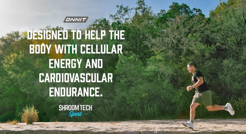 ONNIT Shroom TECH Sport (84ct) | All Natural Pre-Workout Supplement with Ashwagandha, Cordyceps Mushroom, and Rhodiola Rosea 84 Count (Pack of 1) - BeesActive Australia