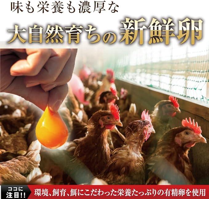 Yazuya Group Kyushu Nature Museum, 185 Aged Black Garlic Egg Yolks, 1 Capsule Per Day for 6 Months Value Family Size - BeesActive Australia