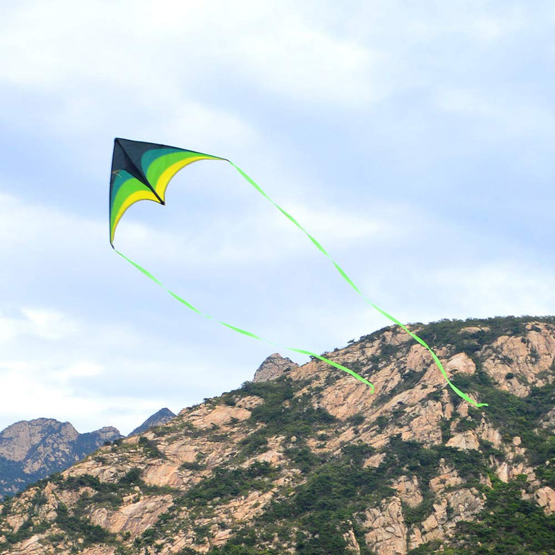 Mint's Colorful Life Delta Kite for Kids & Adults, Extremely Easy to Fly Kite, Best Kite for Beginner Black Green - BeesActive Australia