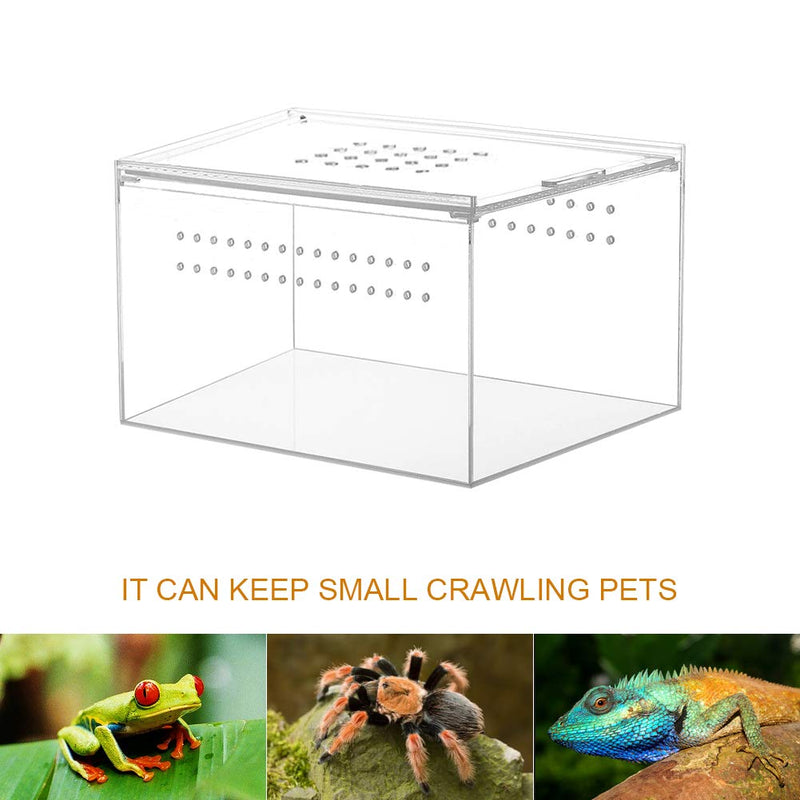 NANEEZOO Acrylic Reptile Breeding Box, 5x4x3 Inch Nano Flat/Long Enclosure Transparent Reptile Breeding Box Terrarium Cage Tank for Tarantula Scorpion Sling Isopods Invertebrates Insect Mantis - BeesActive Australia